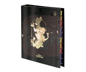 Fichário 1/4 Princesas 48 folhas - Dac