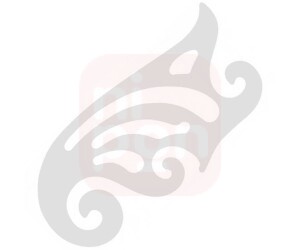 Curva Francesa de Acrílico - Trident