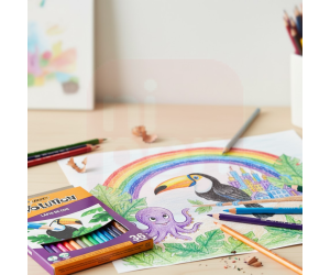 Lapis De Cor Evolution Sextavado 36 Cores - BIC