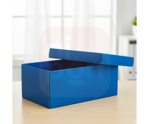 Caixa Organizadora Mini/Sapato Azul 